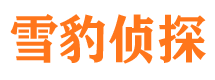 元宝山市婚姻出轨调查